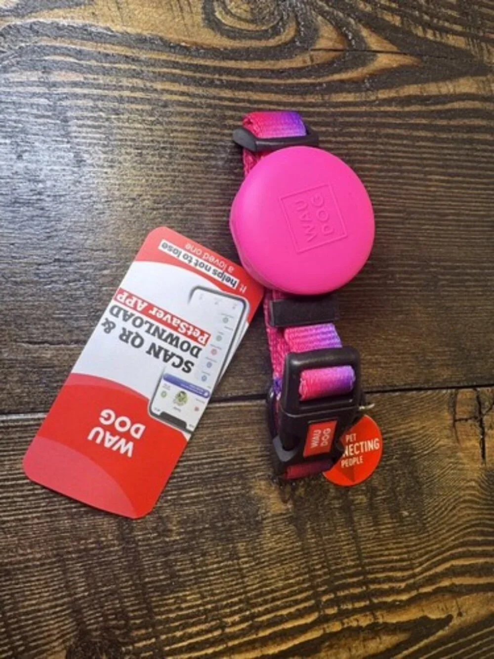 Extra Small Nylon Dog Cat Collar Airtag Holder QR Code Tag Bright Purple Pink